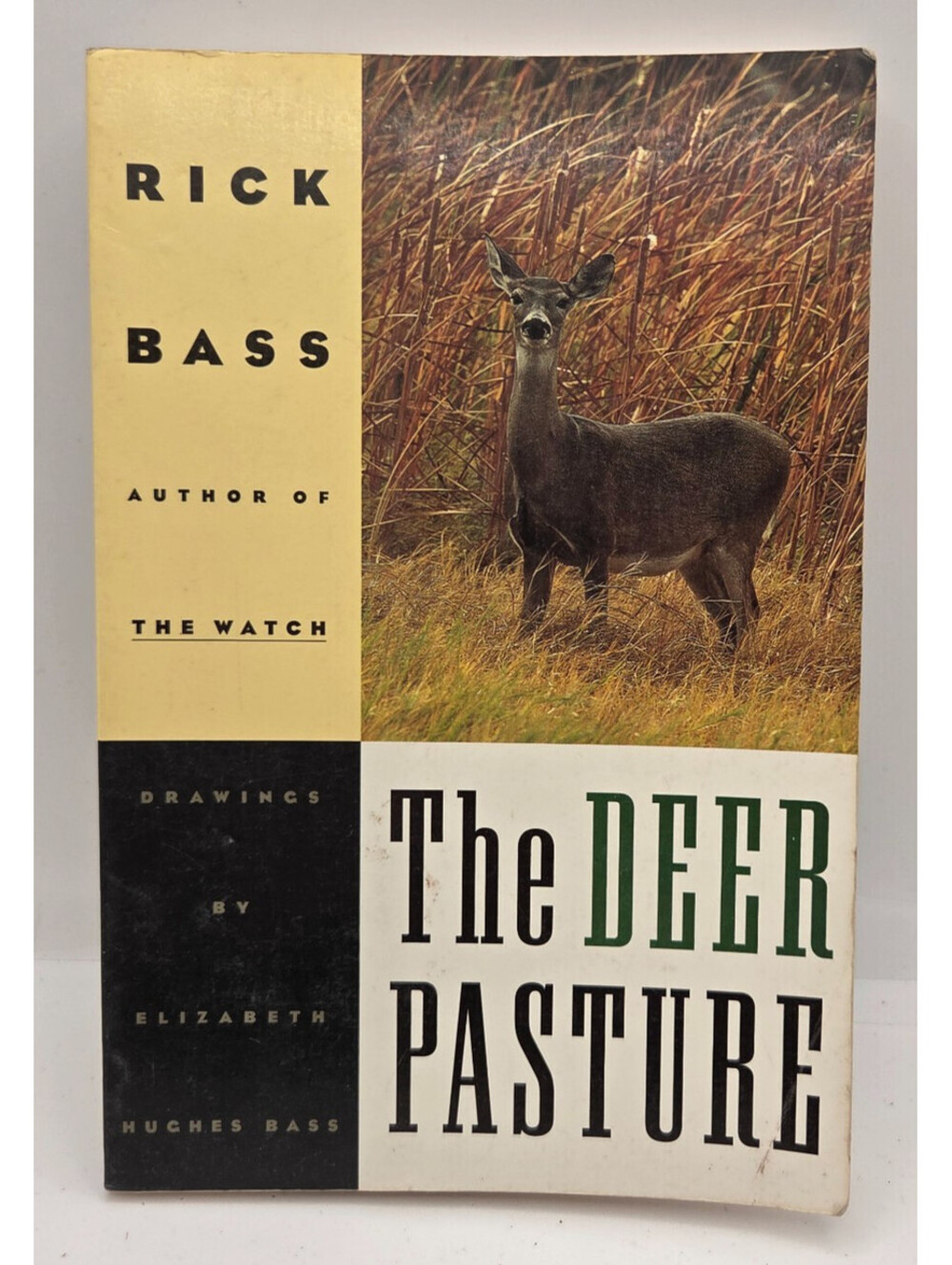 The Deer Pasture Rick Bass 1985 Illustrated Texas Deer Hunting Paperback Book